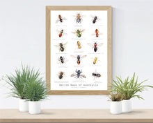 Load image into Gallery viewer, Cheryl Hodges' Native Bees of Australia Print