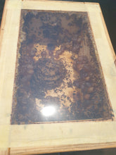 Load image into Gallery viewer, Native Bee Hive With Native Bee Colony And Queen