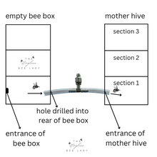 Load image into Gallery viewer, Native Bee Eduction Kit