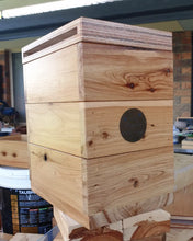 Load image into Gallery viewer, Native Bee Hive With Native Bee Colony And Queen