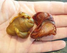 Load image into Gallery viewer, Native Bee Propolis