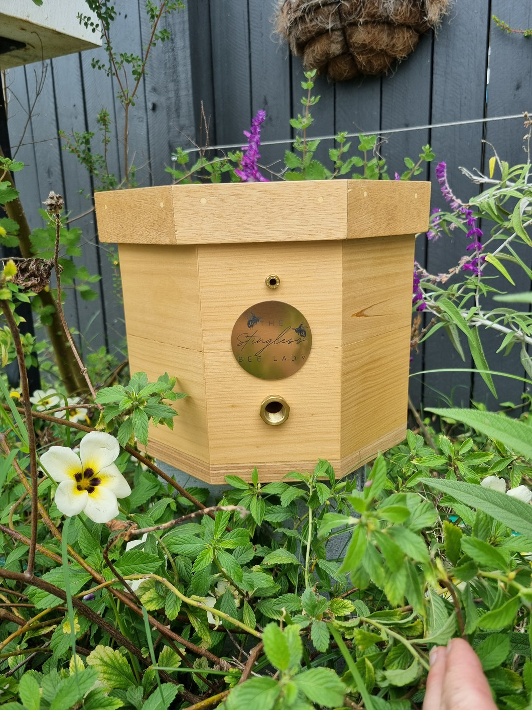 Octagon bee hive