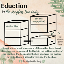 Load image into Gallery viewer, Native Bee Hive Eduction Instructions
