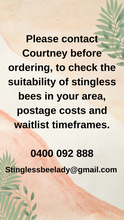 Load image into Gallery viewer, Native Bee Hive With Native Bee Colony And Queen
