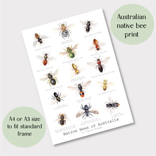 Load image into Gallery viewer, Cheryl Hodges&#39; Native Bees of Australia Print
