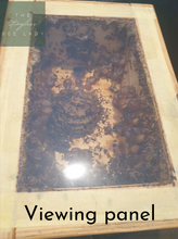 Load image into Gallery viewer, Native Bee Hive Viewing Panel
